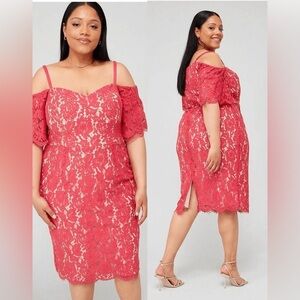 CITY CHIC NWT Lace Whisper Bodycon Cotton Dress Floral Lace Sz 20